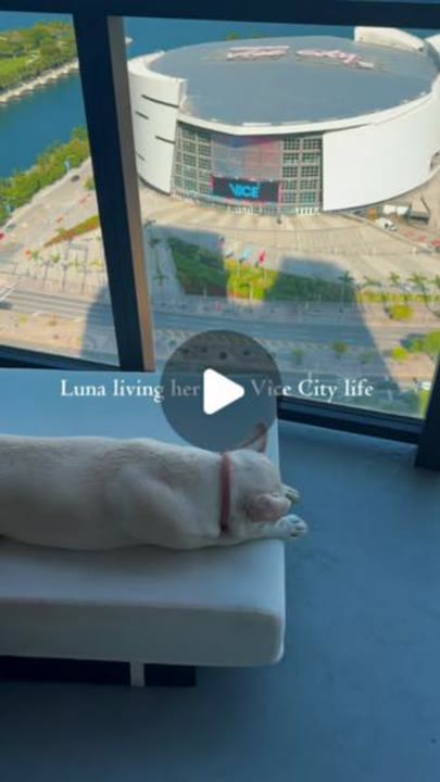 Luna Living Her Best Miami Life
