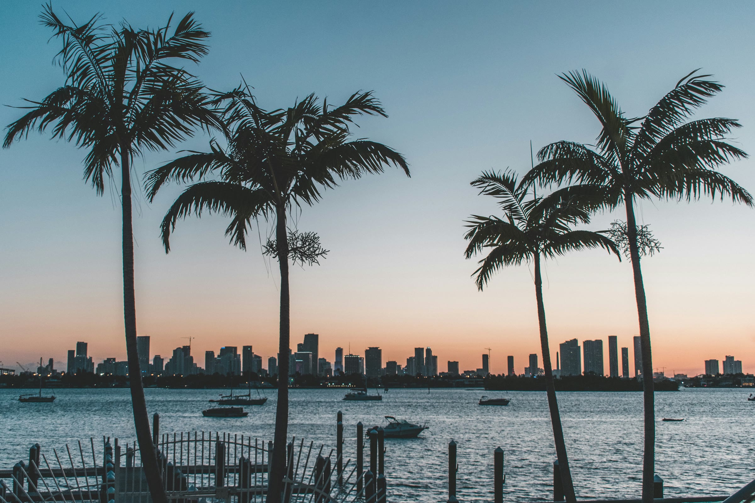 Miami skyline across the bay at sunset, framed by palm trees