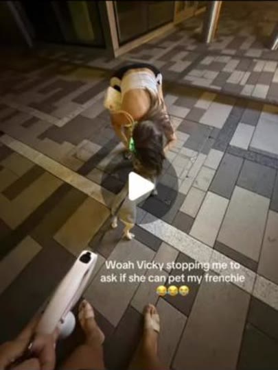 Woah Vicky Stops to Pet My Frenchie